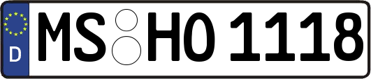 MS-HO1118