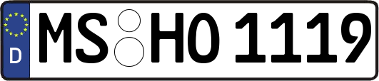 MS-HO1119