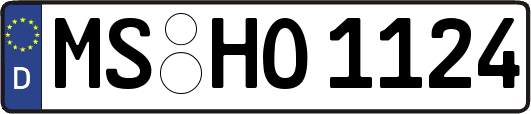 MS-HO1124