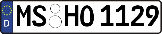 MS-HO1129