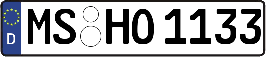 MS-HO1133
