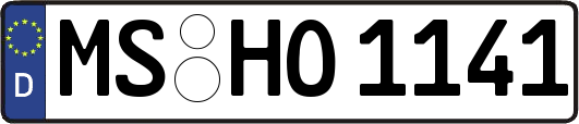 MS-HO1141