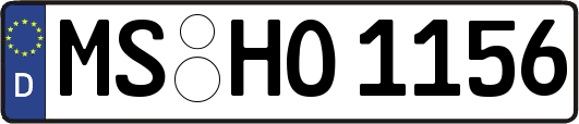 MS-HO1156