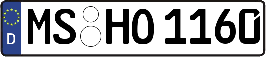 MS-HO1160