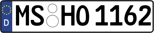 MS-HO1162