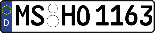 MS-HO1163