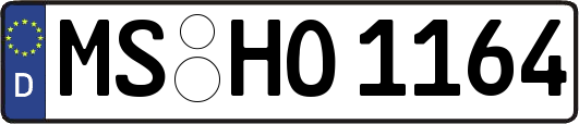MS-HO1164