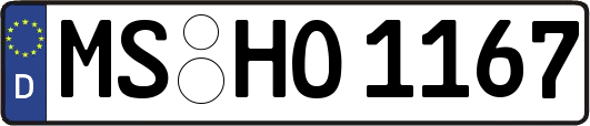 MS-HO1167