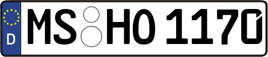 MS-HO1170