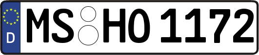 MS-HO1172