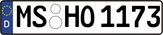 MS-HO1173