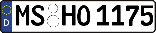 MS-HO1175