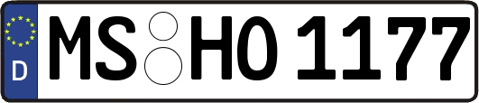 MS-HO1177