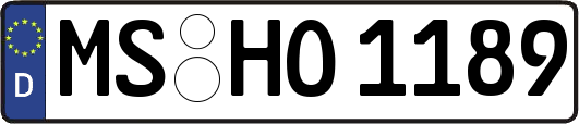 MS-HO1189