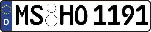 MS-HO1191