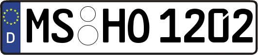 MS-HO1202
