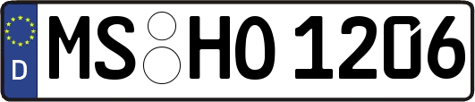 MS-HO1206