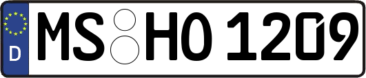 MS-HO1209