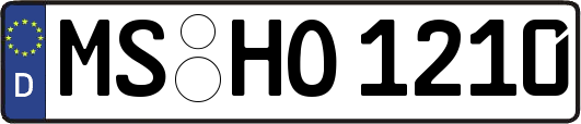 MS-HO1210