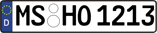 MS-HO1213