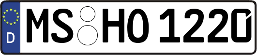 MS-HO1220