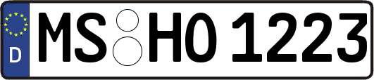 MS-HO1223