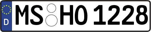 MS-HO1228