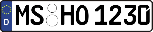 MS-HO1230