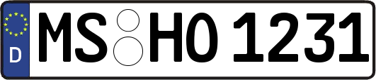 MS-HO1231