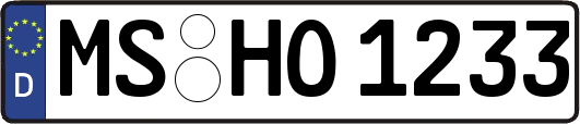 MS-HO1233