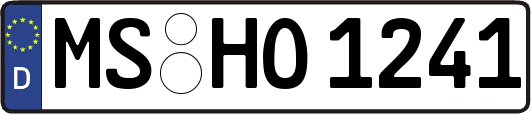 MS-HO1241