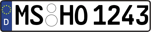 MS-HO1243