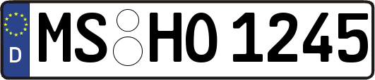 MS-HO1245