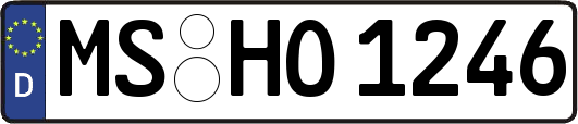 MS-HO1246