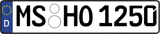 MS-HO1250