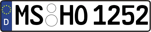 MS-HO1252