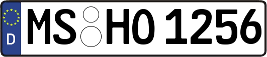 MS-HO1256