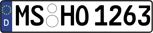 MS-HO1263