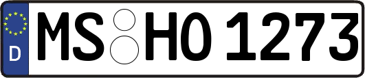 MS-HO1273