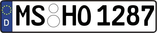 MS-HO1287