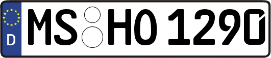MS-HO1290