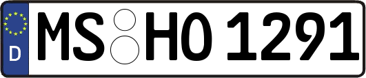 MS-HO1291