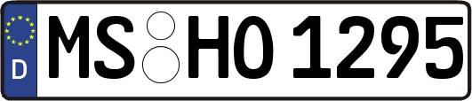 MS-HO1295