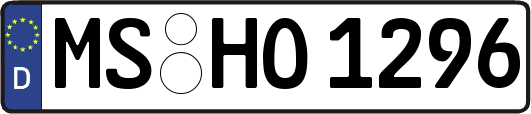 MS-HO1296