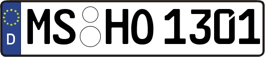 MS-HO1301