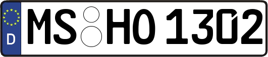 MS-HO1302