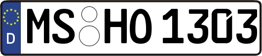 MS-HO1303