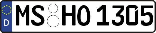 MS-HO1305