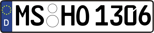 MS-HO1306