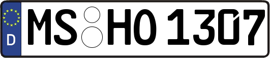 MS-HO1307